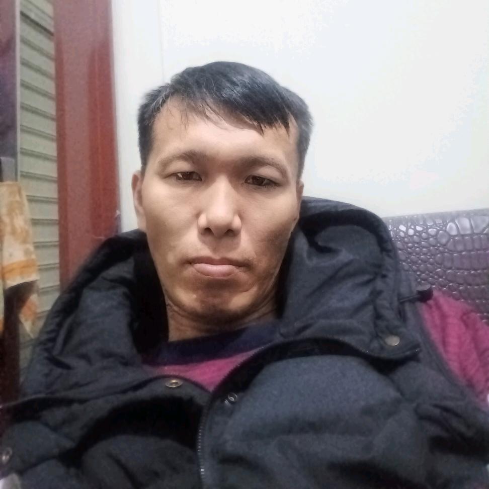 西玛拉雅山脉狼
