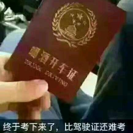 崛起路上