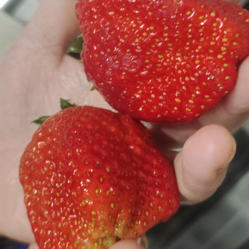 瞅瞅
