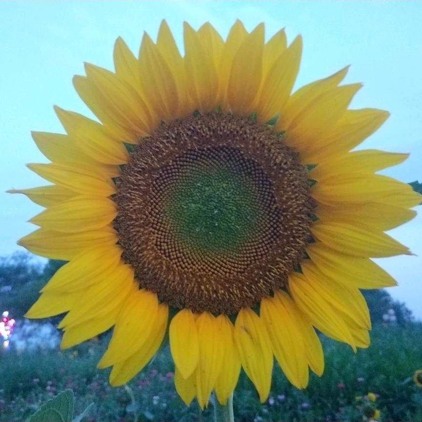 🌈奋🌈斗🌈者🌈