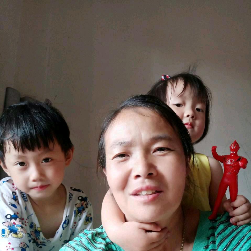 老杨(首播老杨中)