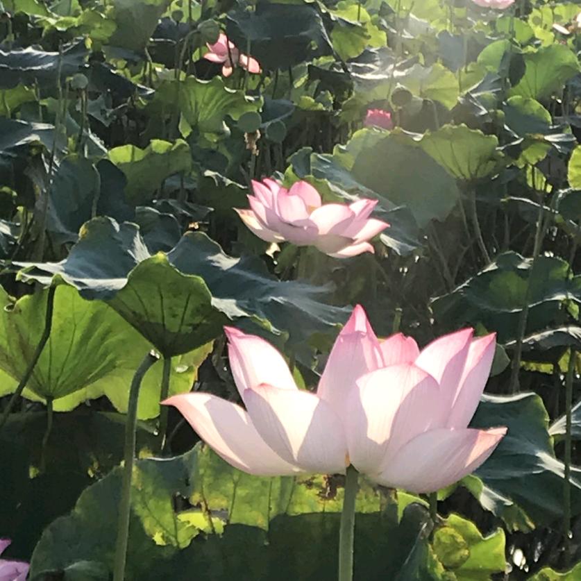 就多练 好吧