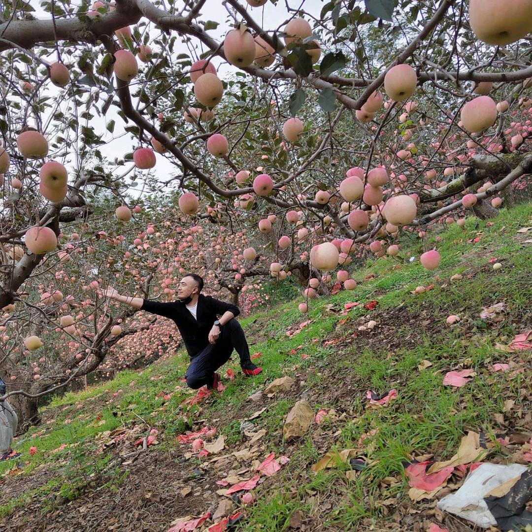 暮色居士