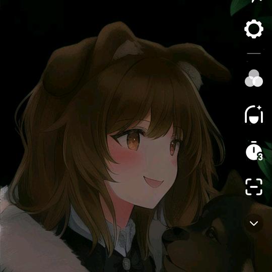 盈