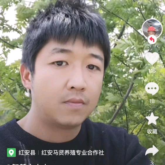 红马农场养殖@