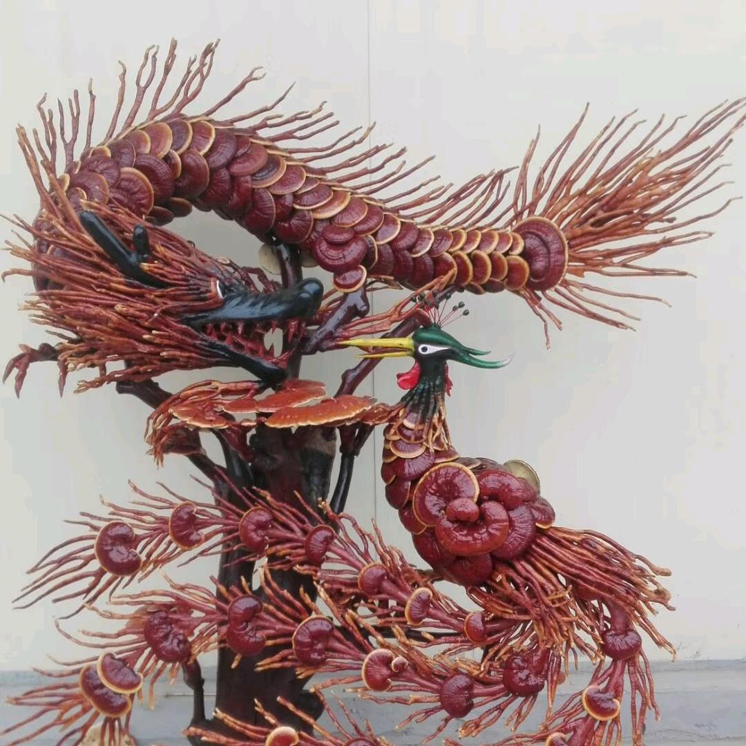 兵哥灵芝种养