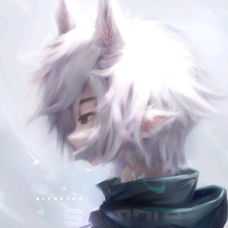 碧月狐