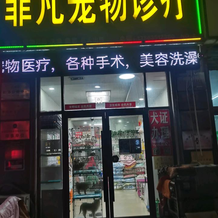 聊城周哥