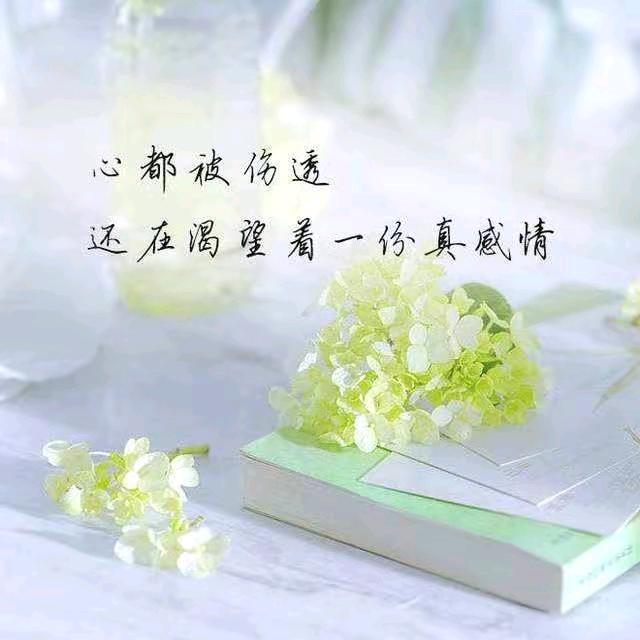 好运全都来