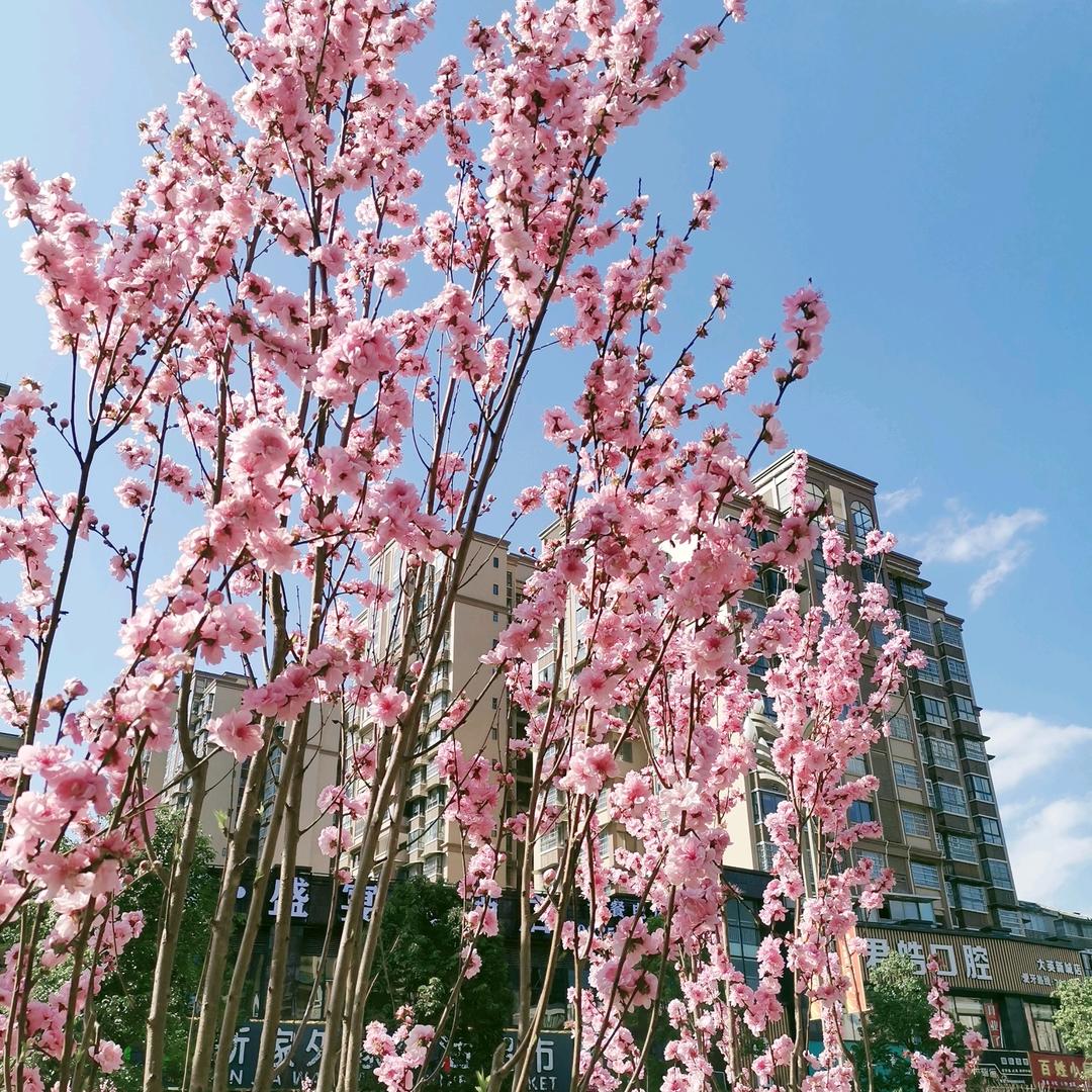 正棠盛宴：郭姐姐