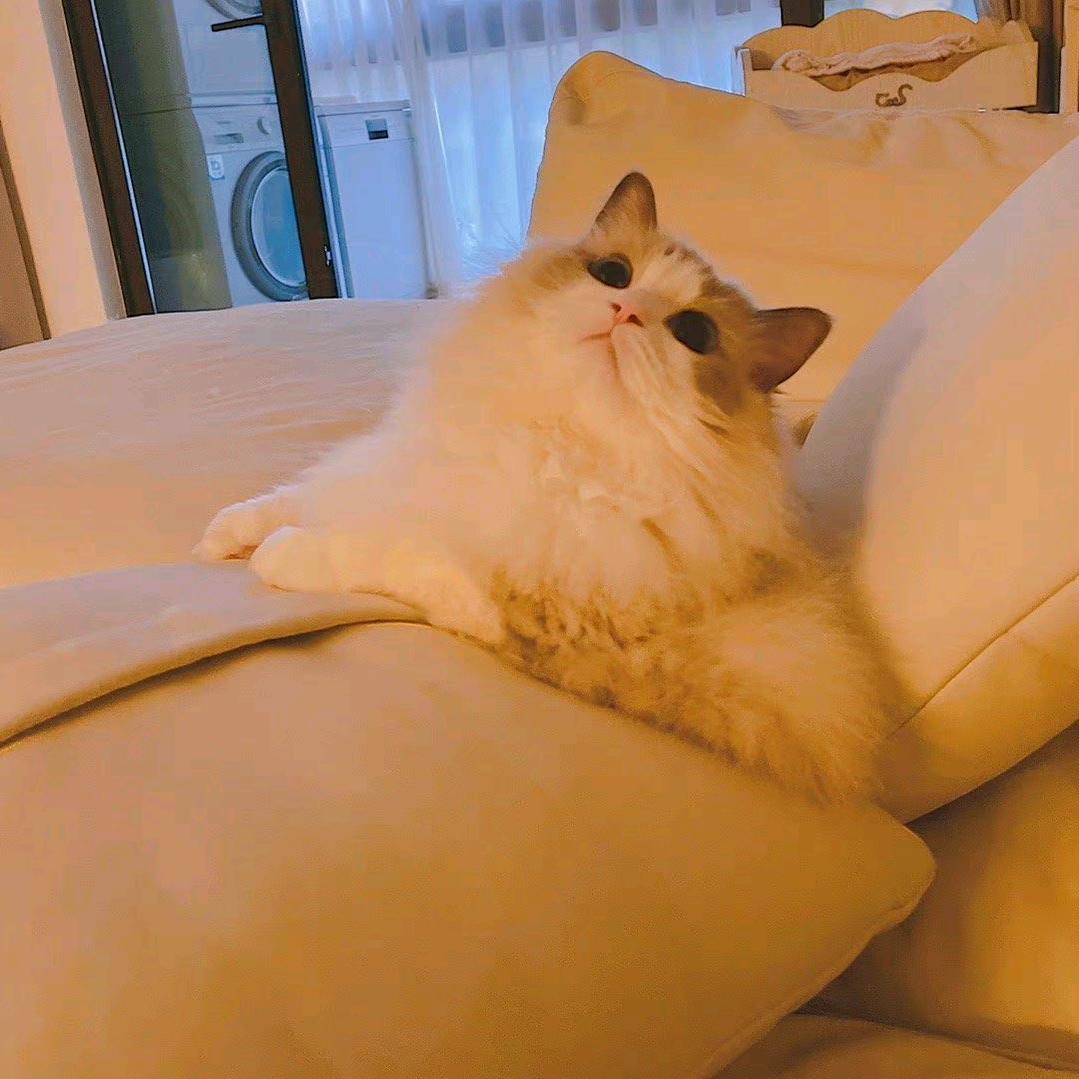 ℳ