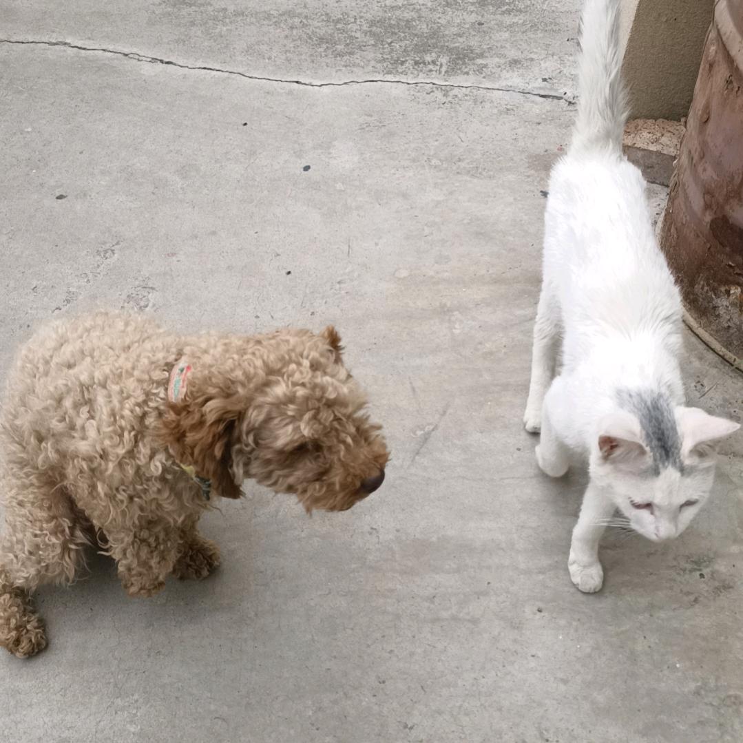 &   开心   &   快乐生活