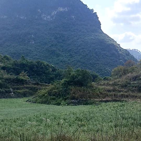 为何变了心