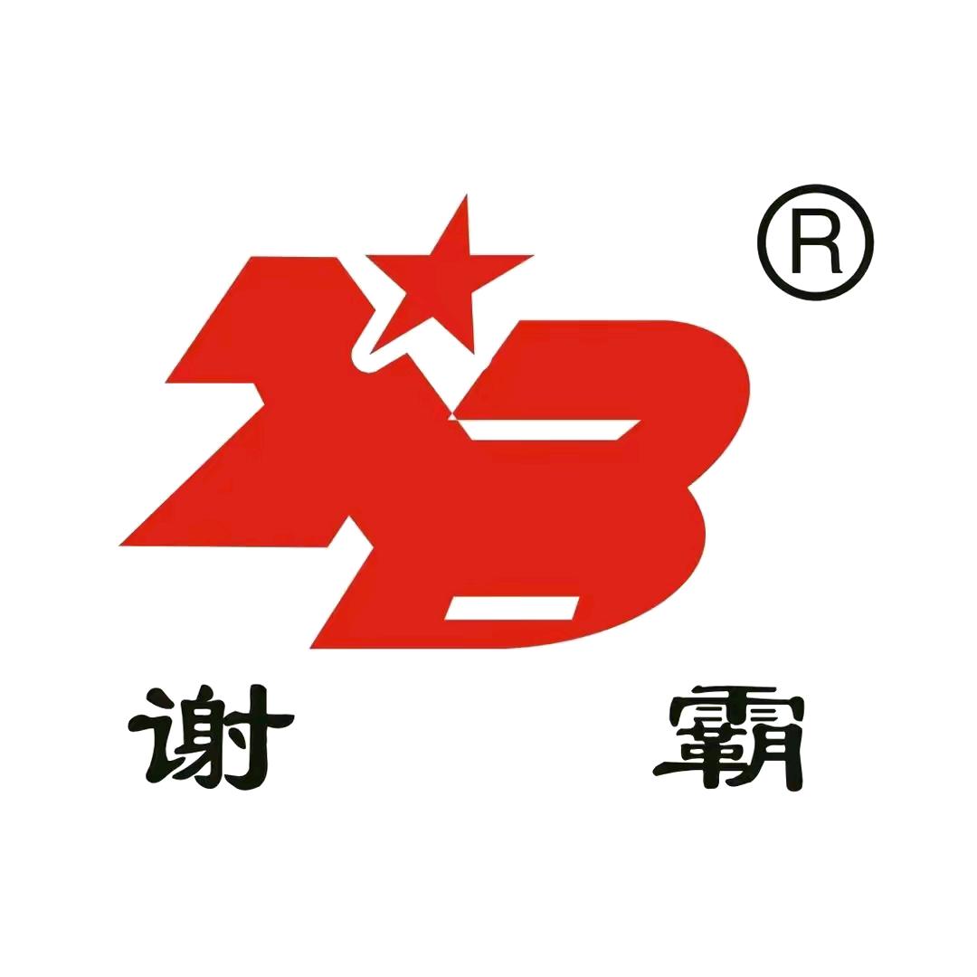 谢霸旗舰店