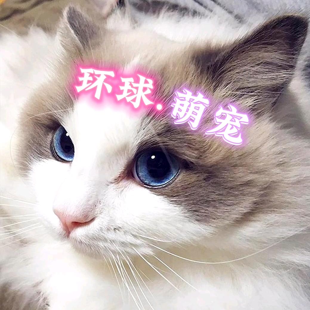 环球.萌宠