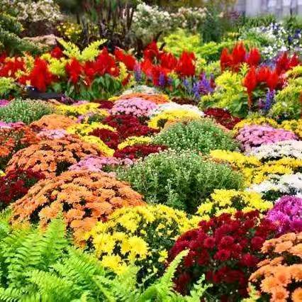 💓幸福一生💗