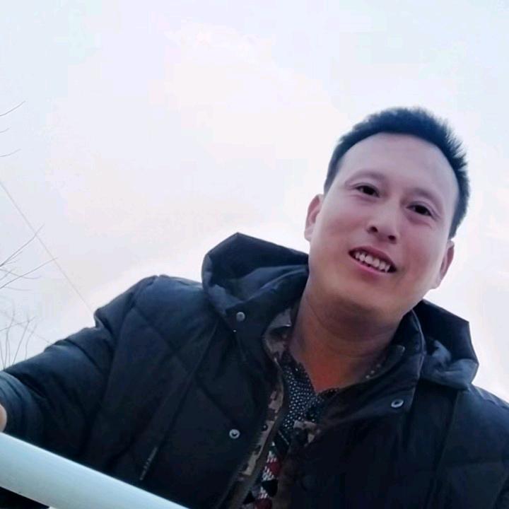 李停停