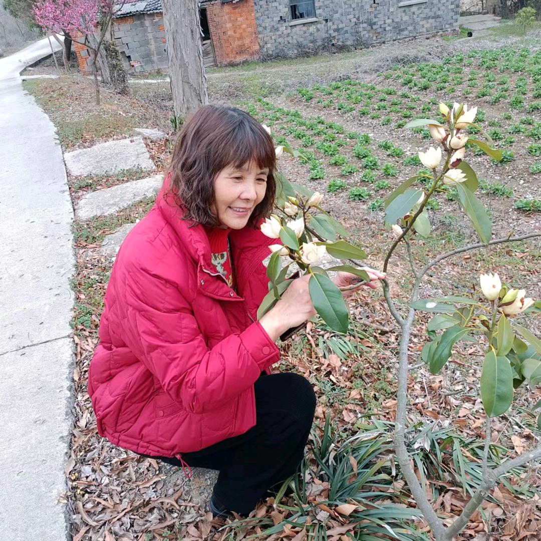 芳芳