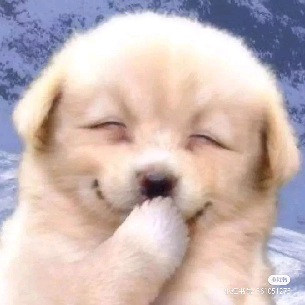 你又要去偷粑粑