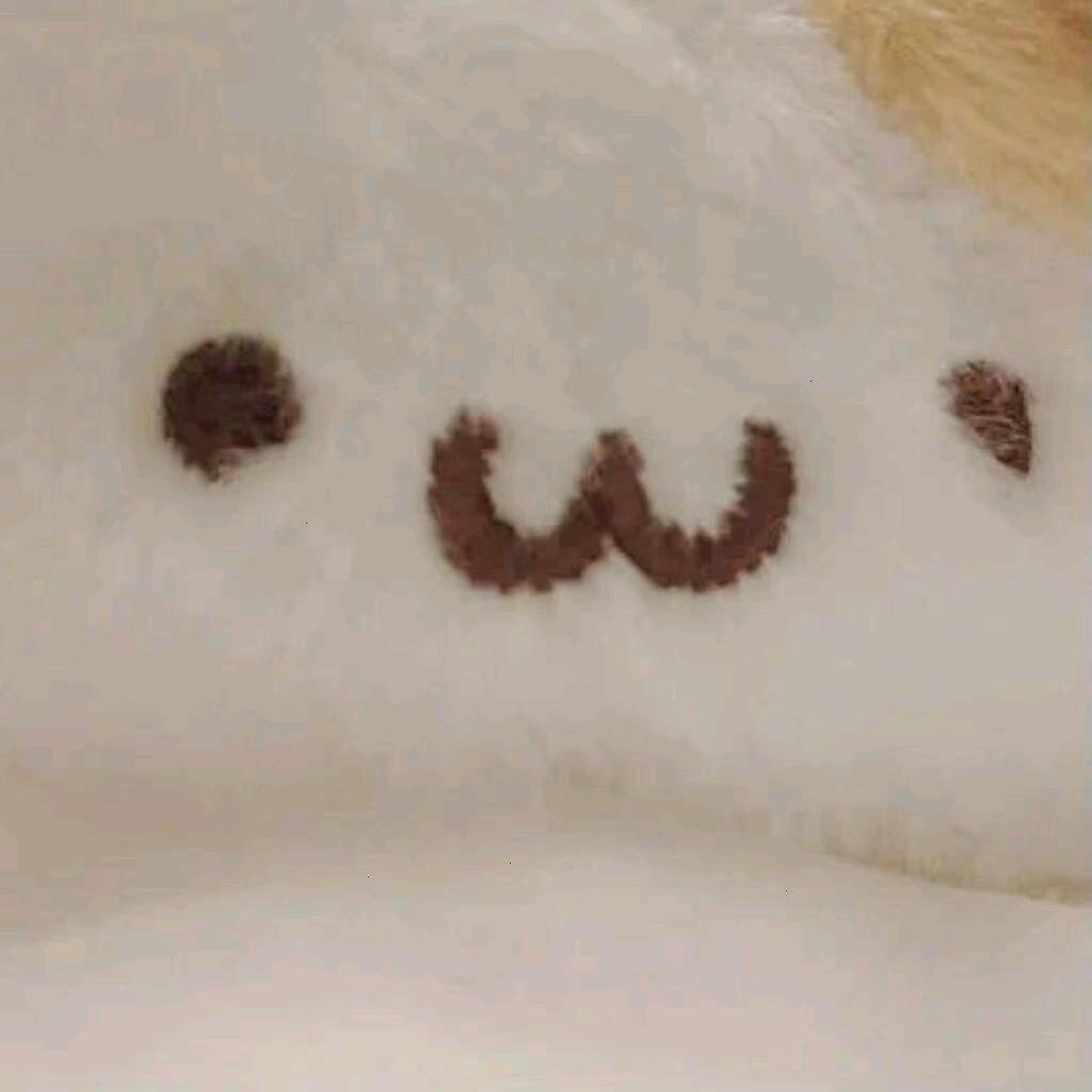 土豆统治全世界