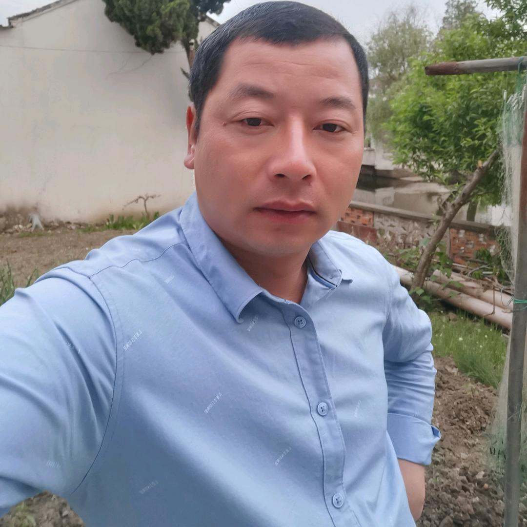 想飞的羊