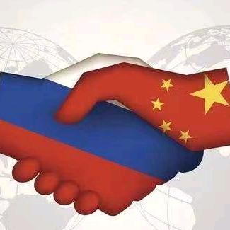 俄罗斯本土电商，企业网站。