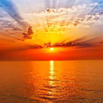 东方红太阳☀1716