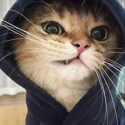 Ethan