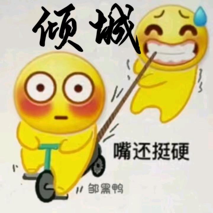 日月倾城