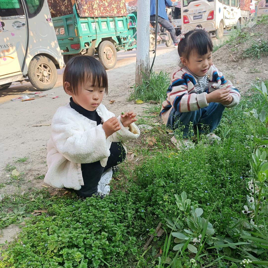 长虹集成吊顶