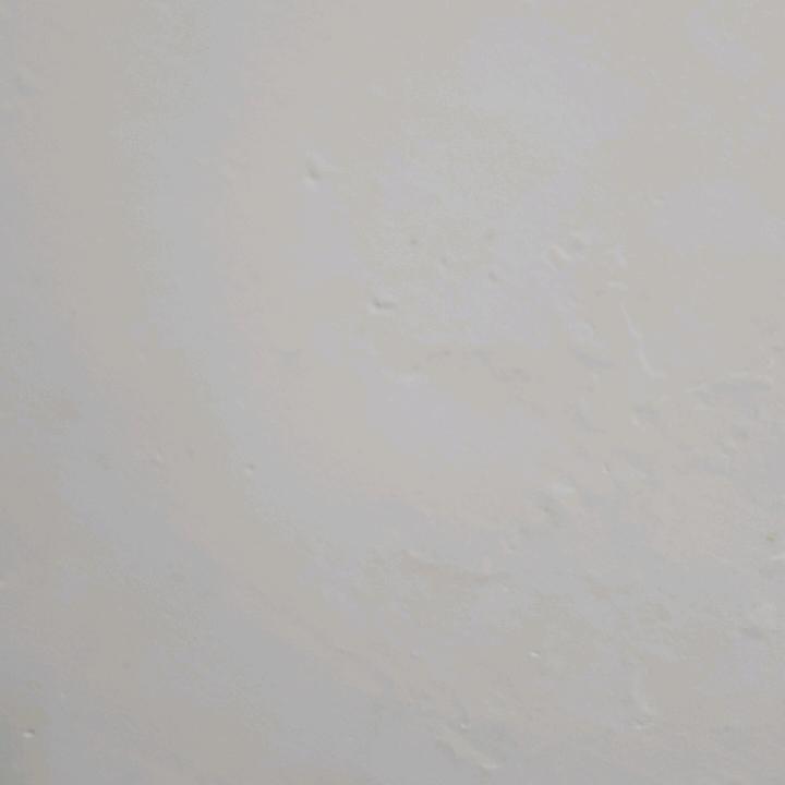 魔术师和他的爱人