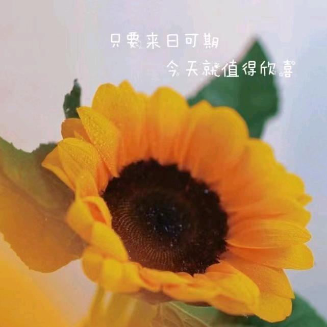 兰若水