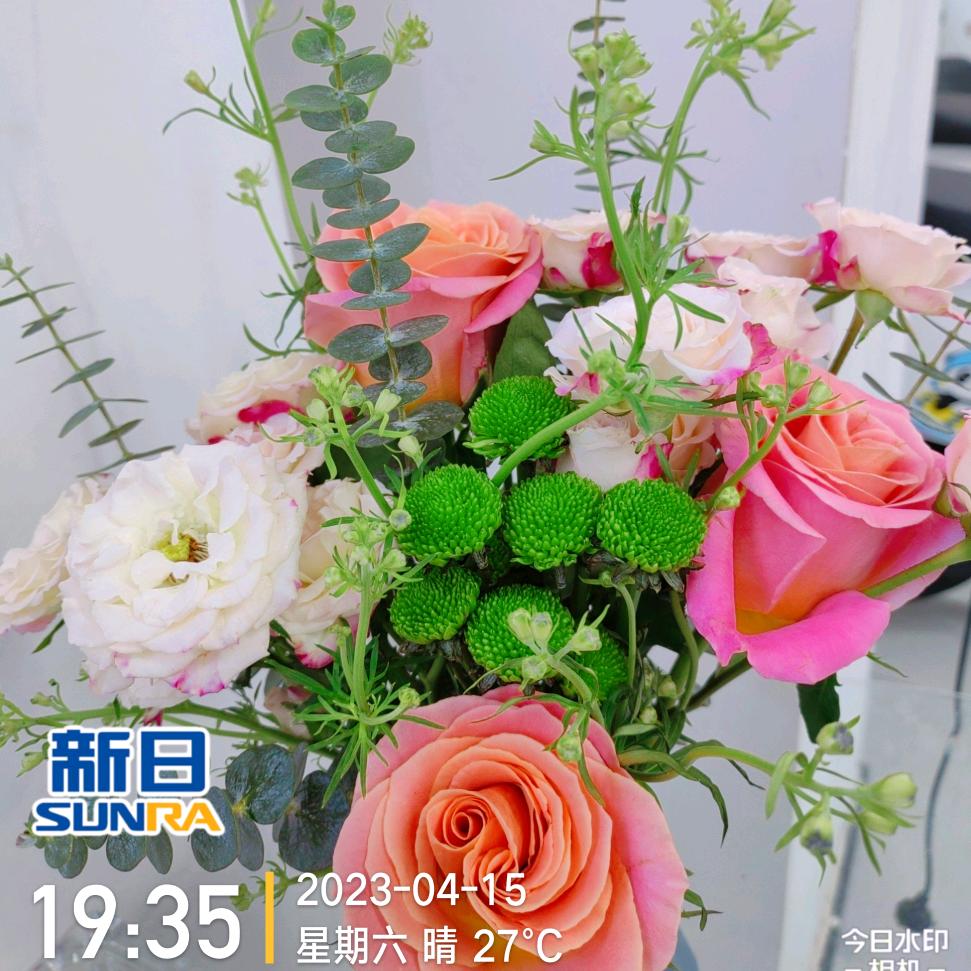 新日电动车小严