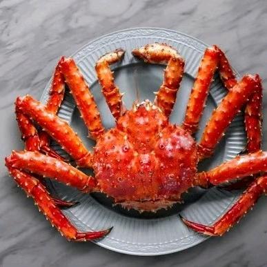 供世海鲜水产批发小时达