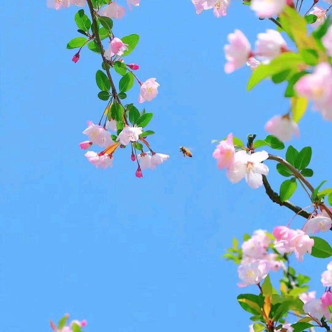 未来希望研究所