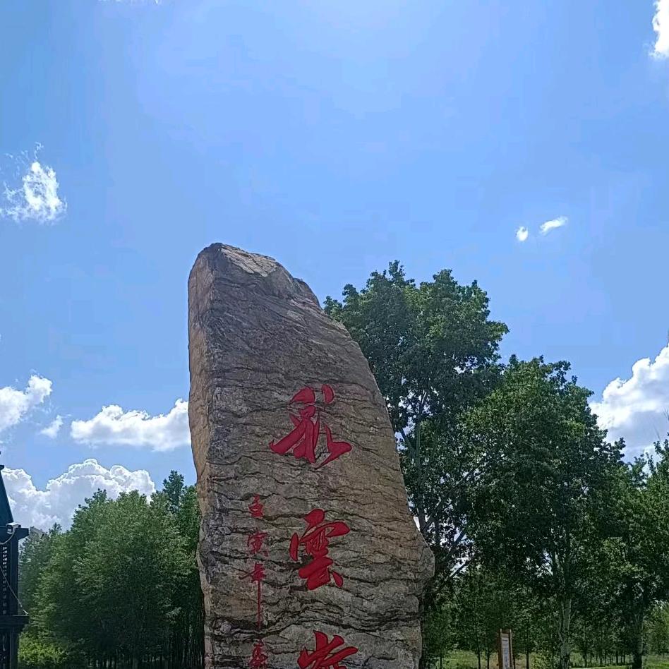 🌺瑞奶奶🌺
