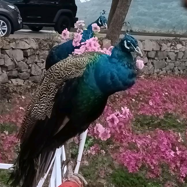 岁月朦胧