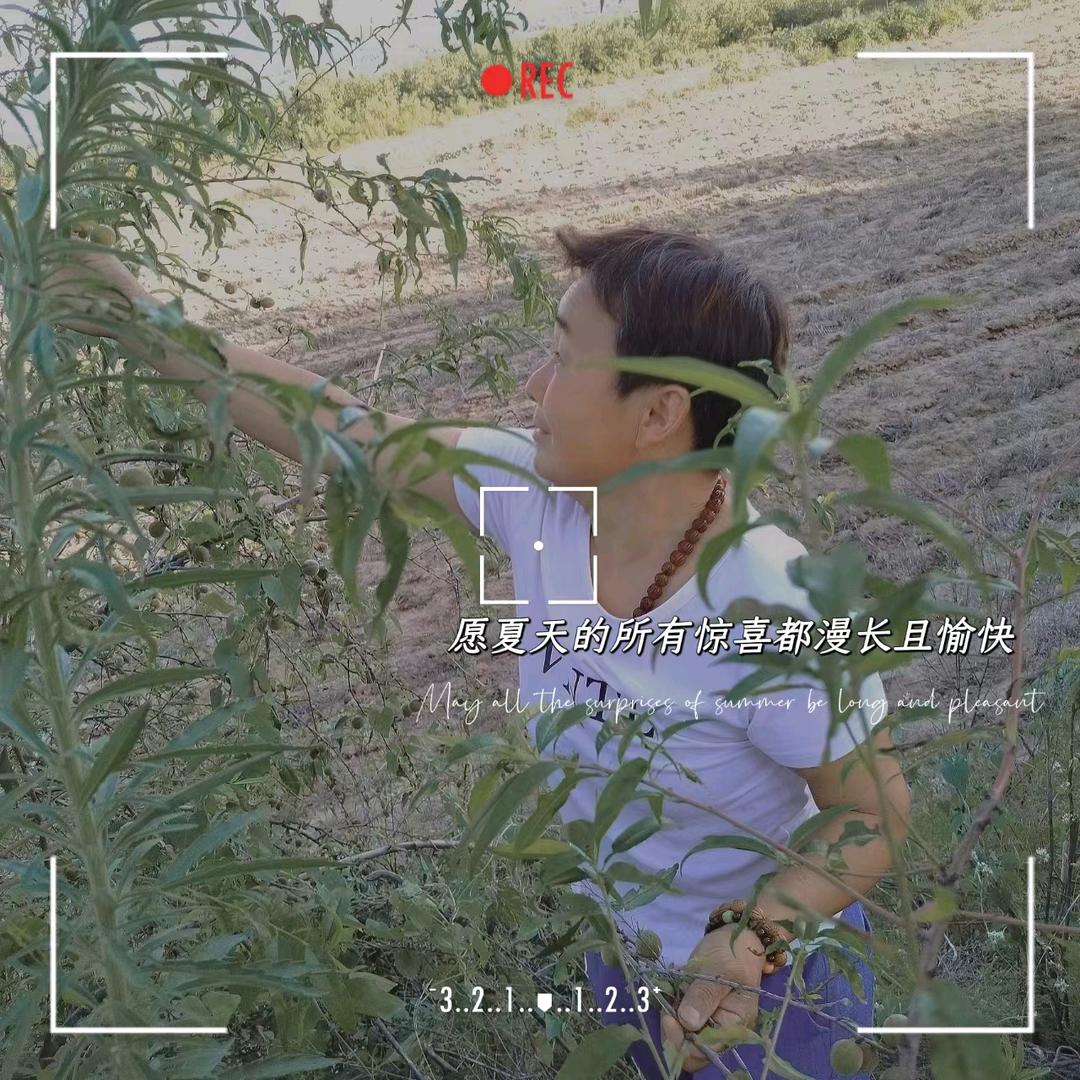 只求开心