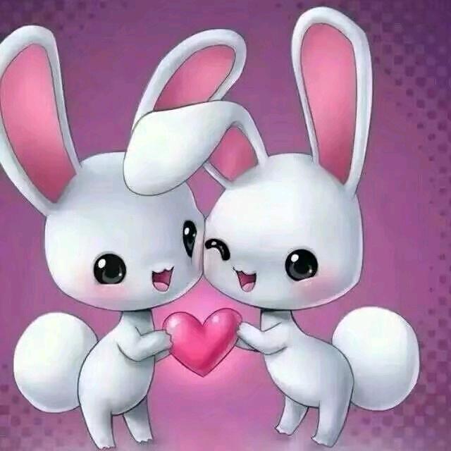 ꩵꦿ岁ᩚ月ᩚ静ᩚ好ᩚꦿꦙ🕊️🐇
