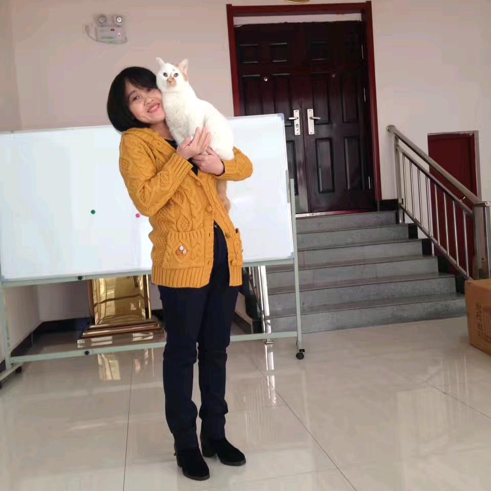 菊红和她的流浪猫们