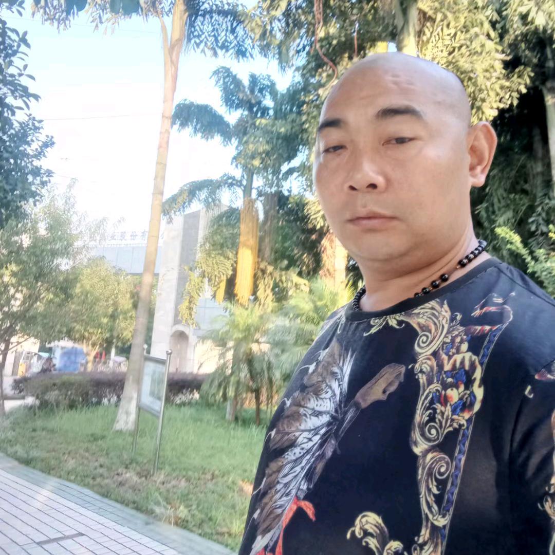 鹂程万里