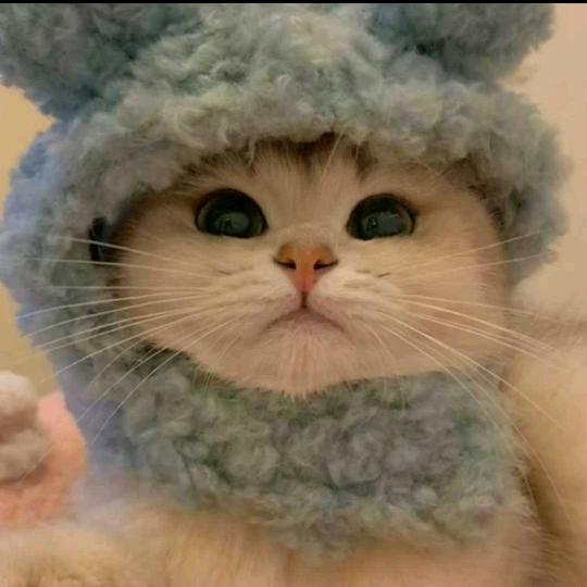 是啊紫呀～（挑羊粪版）