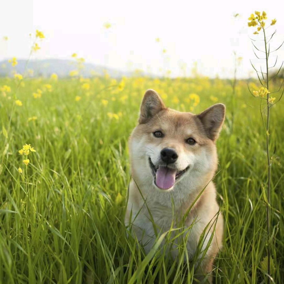 人在旅途
