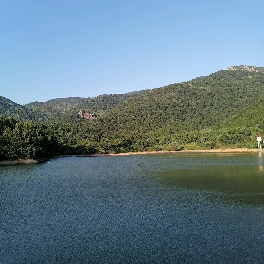 龙山情🌊