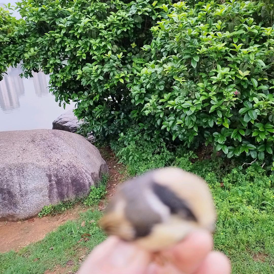 抬头望天空