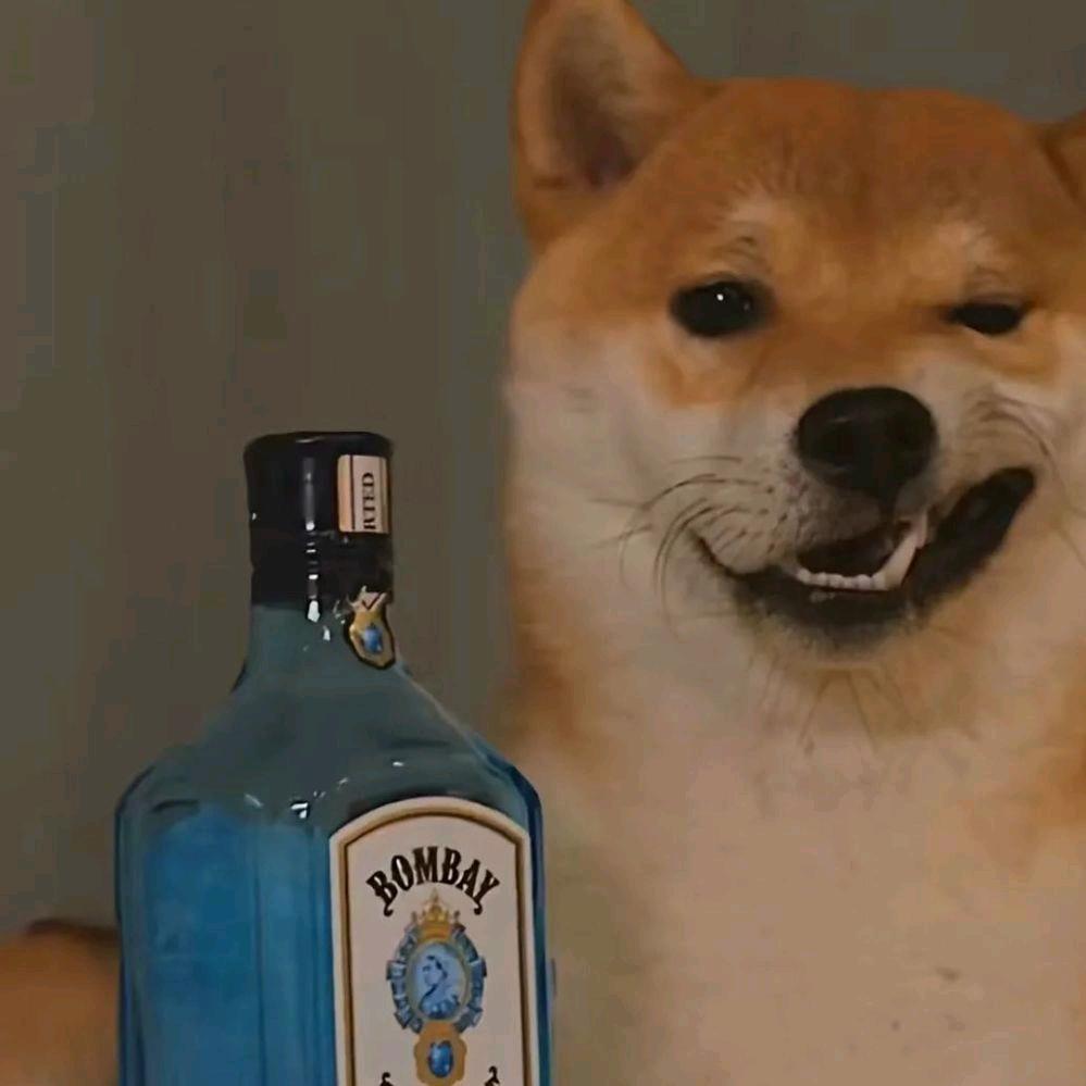 做个迷人的混蛋