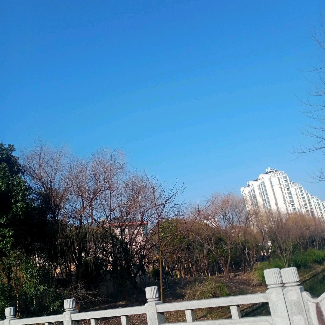 一笑风月