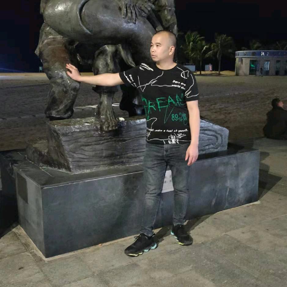 进哥