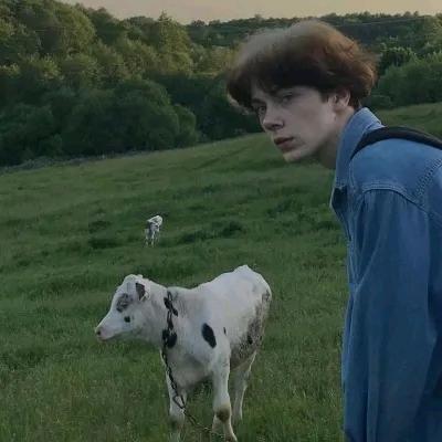 CS2  家门口的猫。