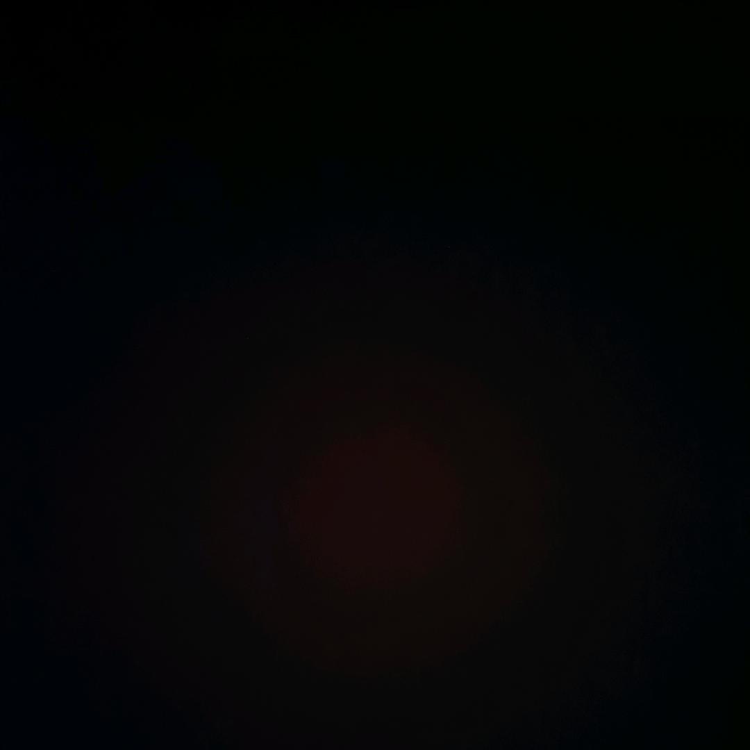 故人归